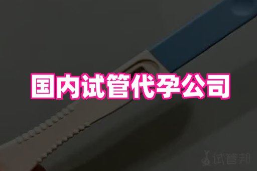 贵州助孕网站 1