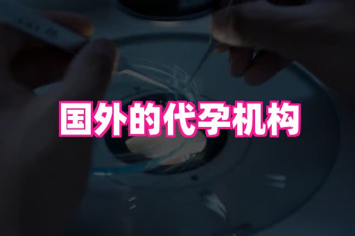 贵州助孕网站 2