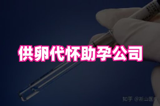 贵州助孕网站 3